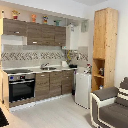 Lägenhet Irina Braşov