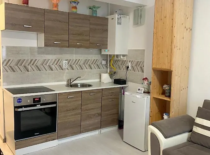 Apartment Irina Brasov